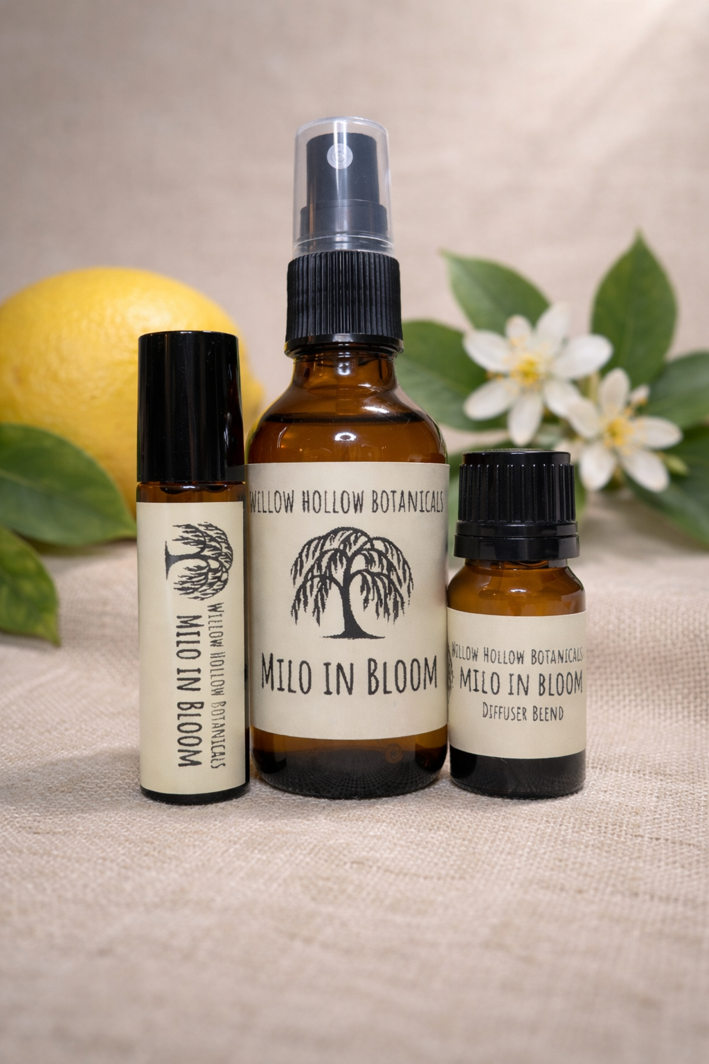 A studio photograph featuring three amber glass bottles from 'Willow Hollow Botanicals' with cream-colored labels labeled 'Milo in Bloom.' The scent profile captures the delicate, honeyed fragrance of citrus blossoms, featuring notes of lemon and floral neroli. From left to right: a small rollerball bottle, a medium spray bottle, and a small dropper bottle labeled 'Diffuser Blend.' The bottles are arranged on a textured fabric surface, framed by a lemon on the left and white lemon blossoms on the right.