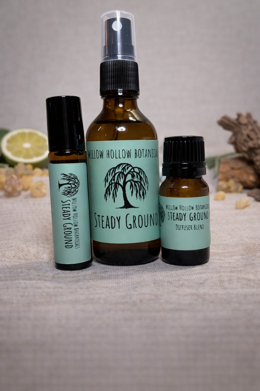 A studio photograph featuring three amber glass bottles from 'Willow Hollow Botanicals' with seafoam green labels labeled 'Steady Ground.' The blend features a profile of sandalwood, frankincense, and bright, citrusy bergamot. From left to right: a small rollerball bottle, a medium spray bottle, and a small dropper bottle labeled 'Diffuser Blend.' The bottles are arranged on a neutral surface, surrounded by scattered frankincense resin and a slice of fresh bergamot in the soft-focus background.